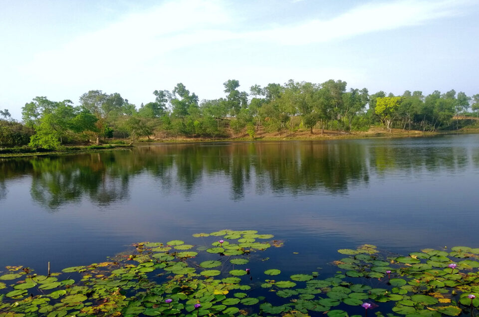 ফয়েজ লেক